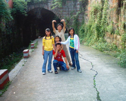 2006  (81)